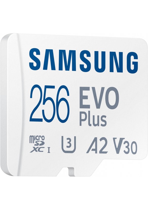 Carte MicroSDXC Evo Plus Pour Nintendo Switch Par Samsung - 256 GB